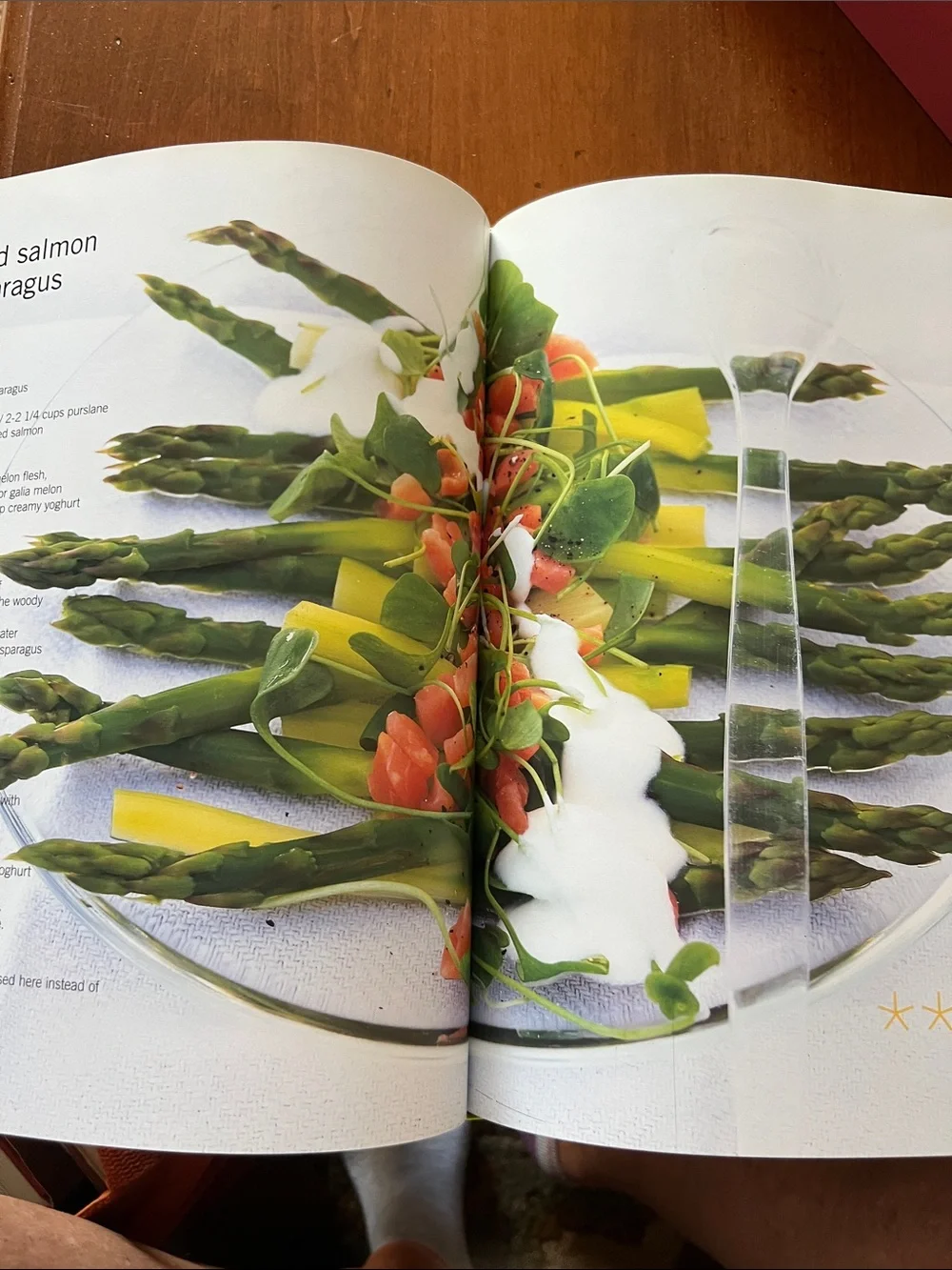 Salads Book by Frauke Koops & Gunter Beer